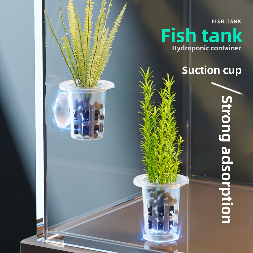 Plant Aquarium Pot - 10 Pezzi Vasi Idroponici Trasparenti in