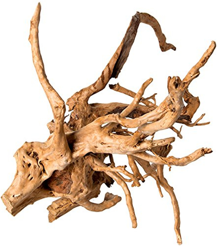 Aquarium Driftwood - Legno Naturale Lucidato per Acquari, Decorazione