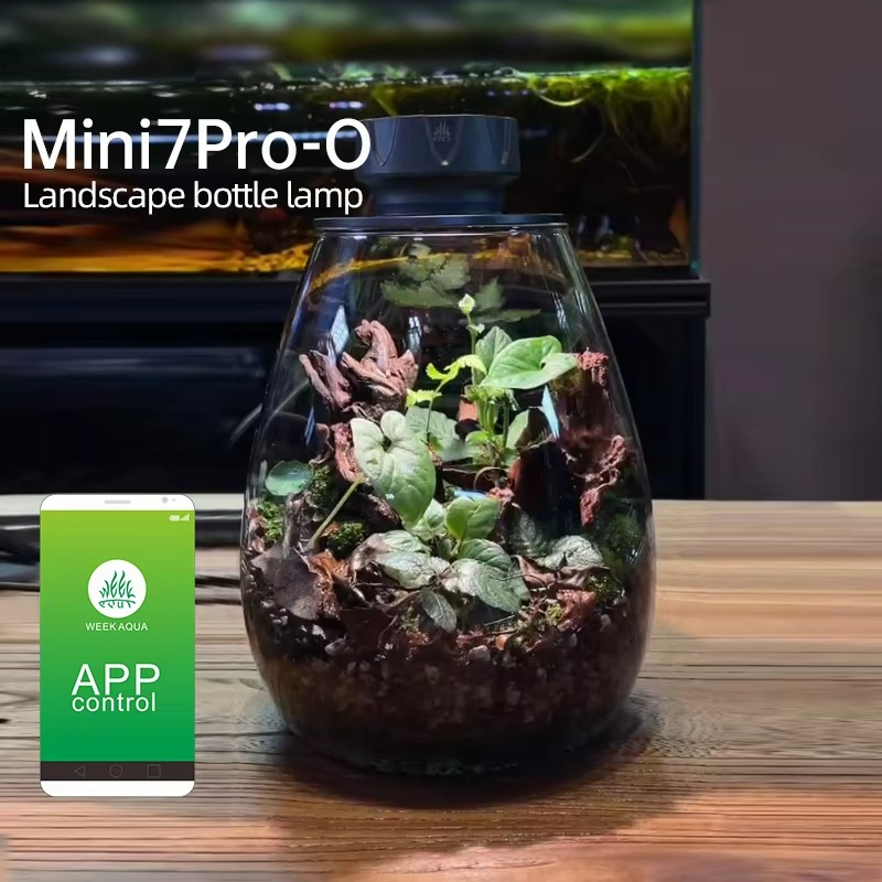 Planted Tank - COB Microlandscape Pianta Luce di riempimento