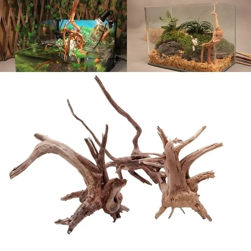 Live Plant Aquarium - Tronco d'albero naturale Driftwood acquario acquario