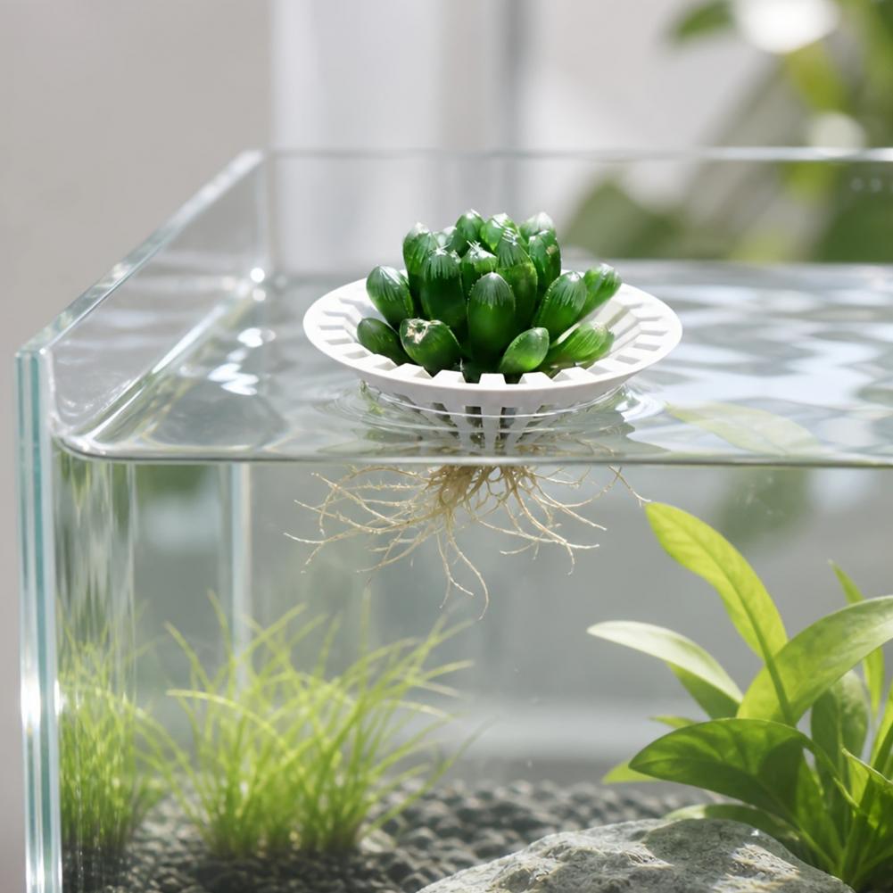 Aquarium Plant Holder - Vaso idroponico per acquario, supporto galleggiante