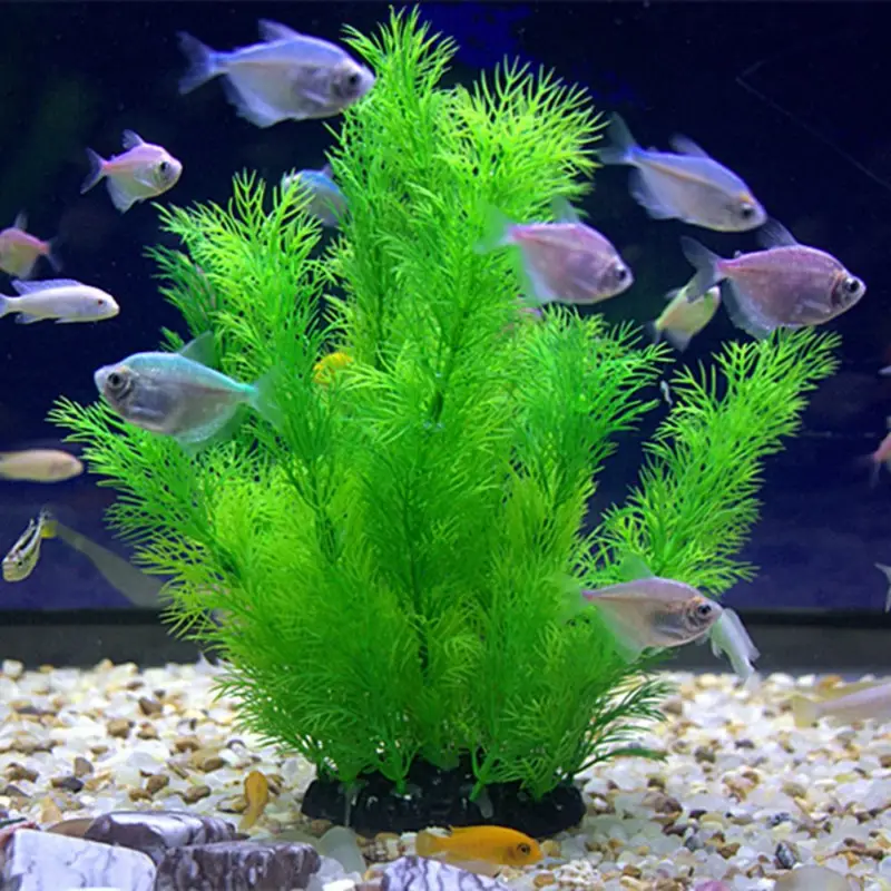 Aquarium Plant Substrate - Piante artificiali per decorazioni per acquari