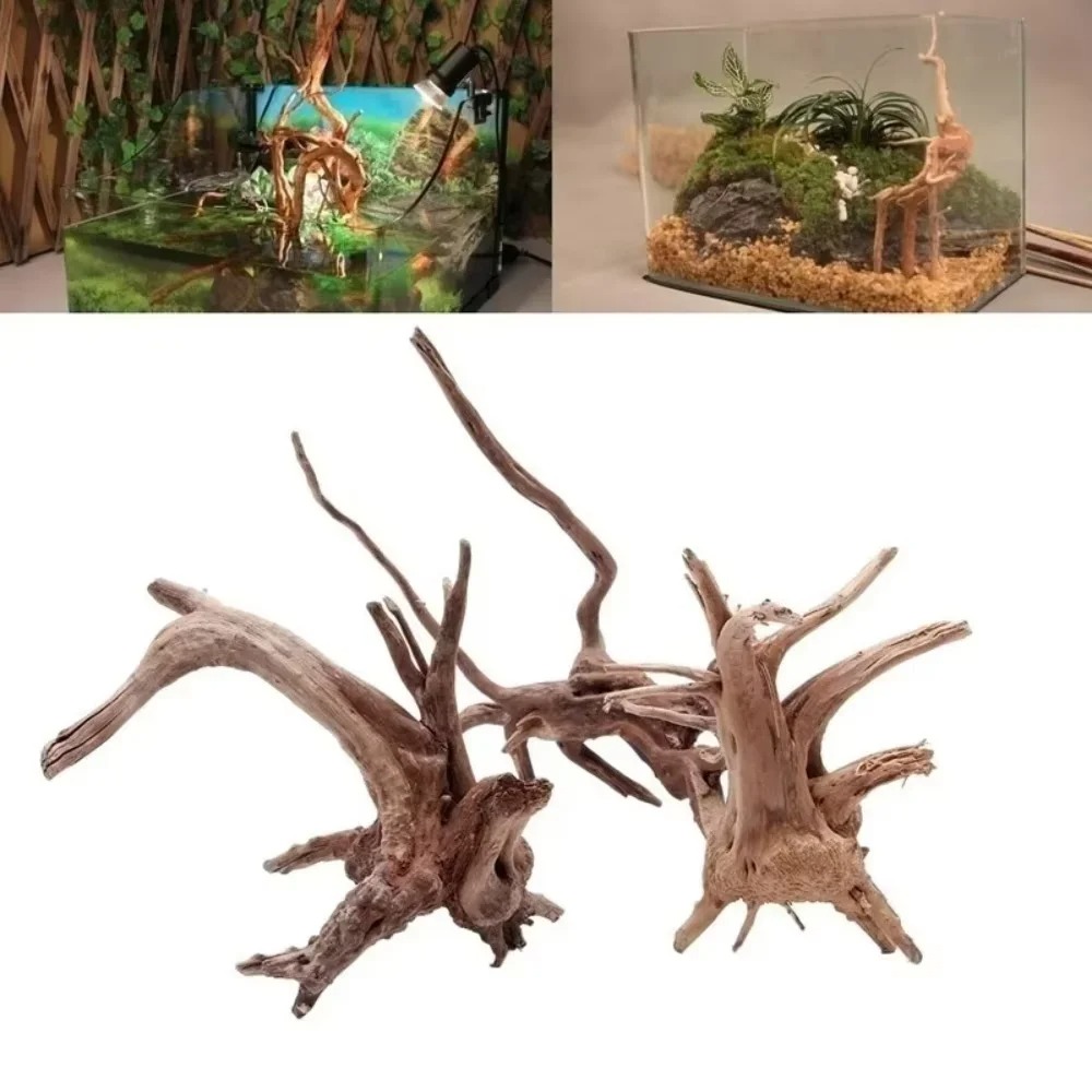 Aquarium Moss - Legno Naturale per Acquario 15-20CM -