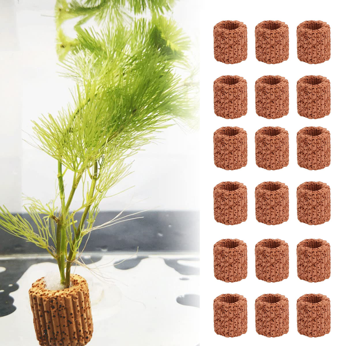 Plant Aquarium Pot - 10/20Pcs Base ad anello fisso per