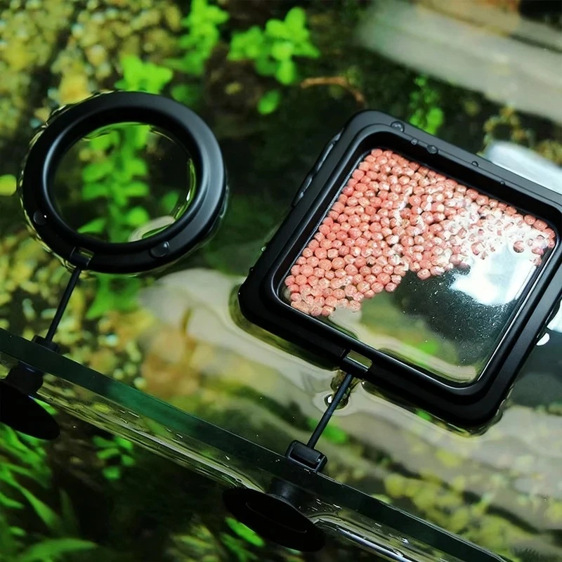 Aquarium Fertilizer - 1/3 pezzi Anello per l'alimentazione dei