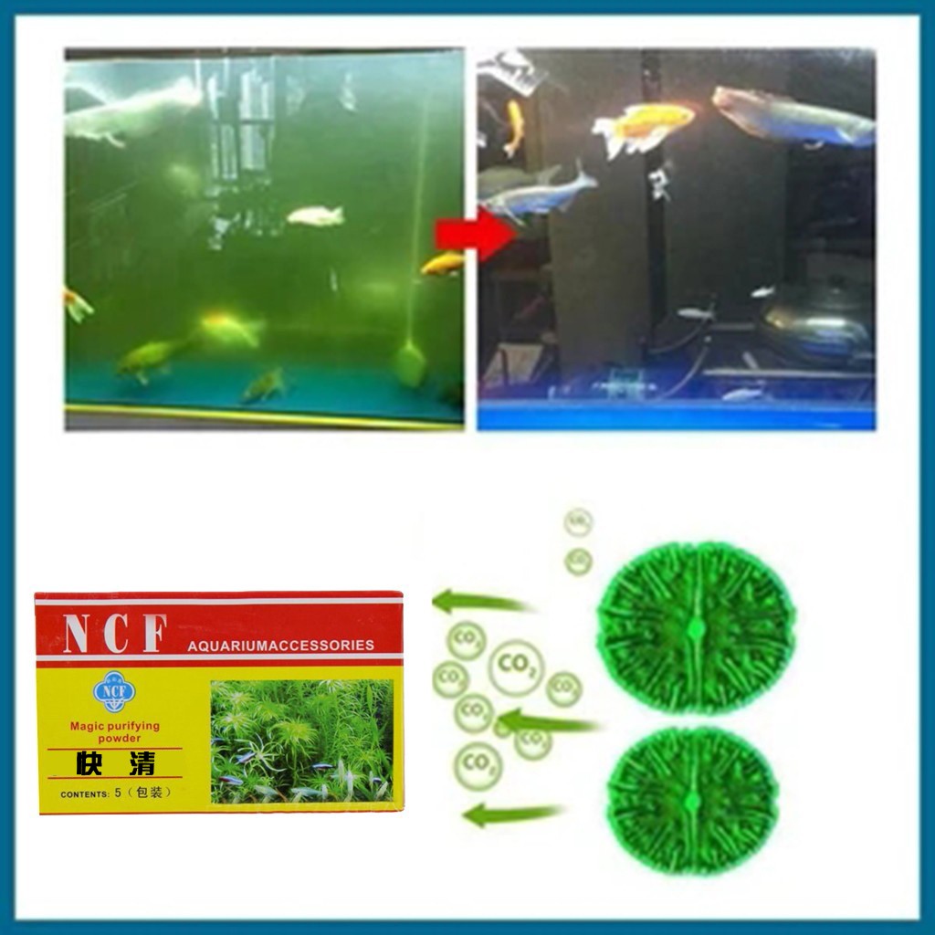 Aquarium Moss - Polvere purificante dell'acqua dell'acquario Rimuovi l'odore