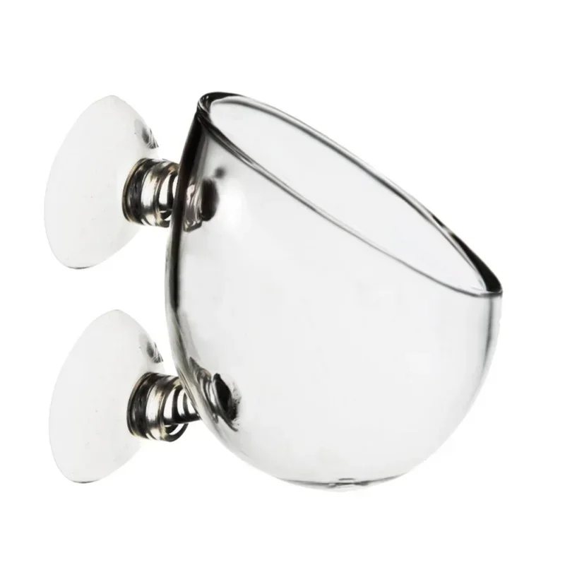 Aquarium Plant Holder - Vaso in vetro trasparente per piante