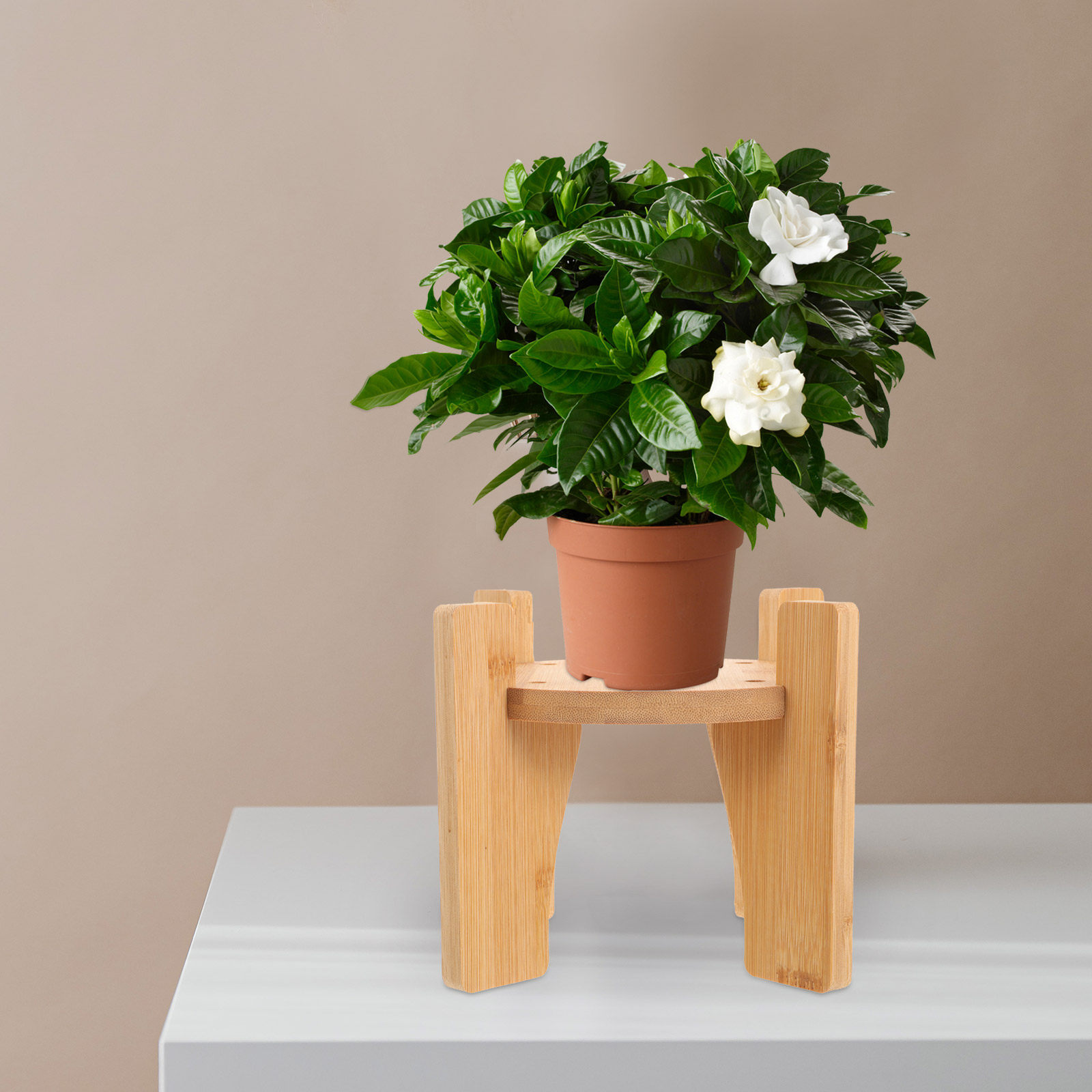 Planted Tank - Supporto in legno per distributore di