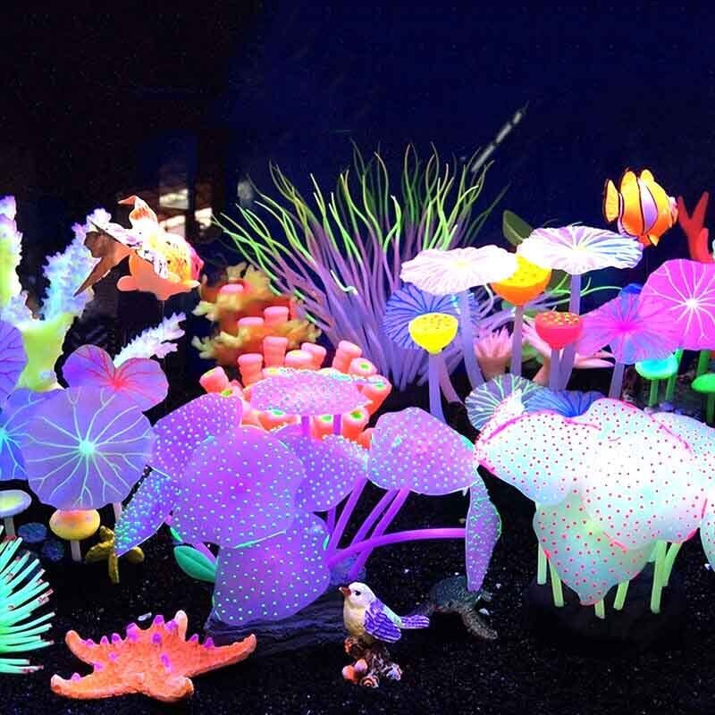 Decorazioni Subacquee in Silic - Live Plant Aquarium recensione e prezzo
