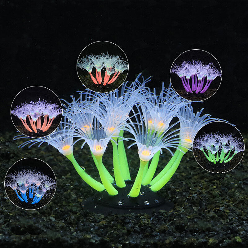 Decorazioni Subacquee in Silic - Live Plant Aquarium recensione e prezzo