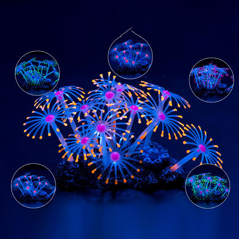 Decorazioni Subacquee in Silic - Live Plant Aquarium recensione e prezzo