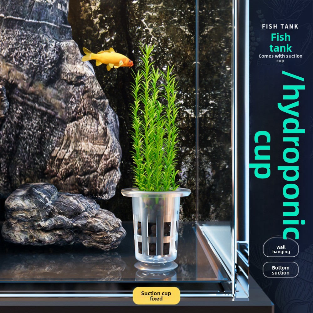 10 Pezzi Vasi Idroponici Trasp - Plant Aquarium Pot recensione e prezzo