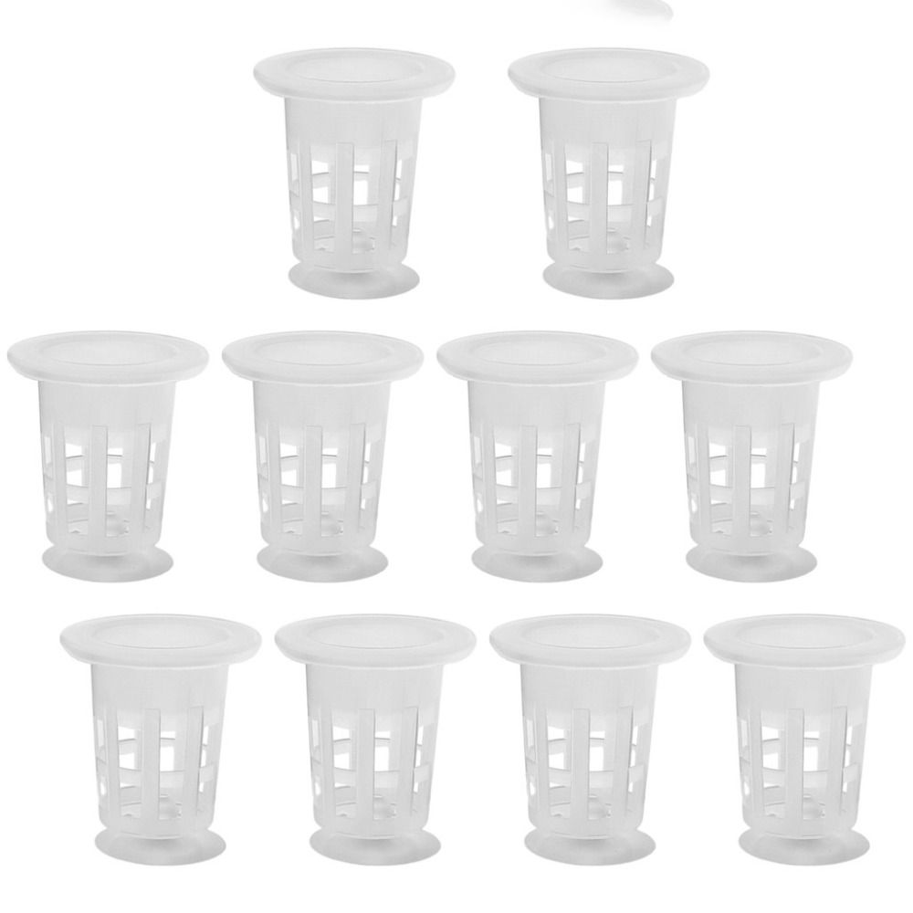 10 Pezzi Vasi Idroponici Trasp - Plant Aquarium Pot recensione e prezzo