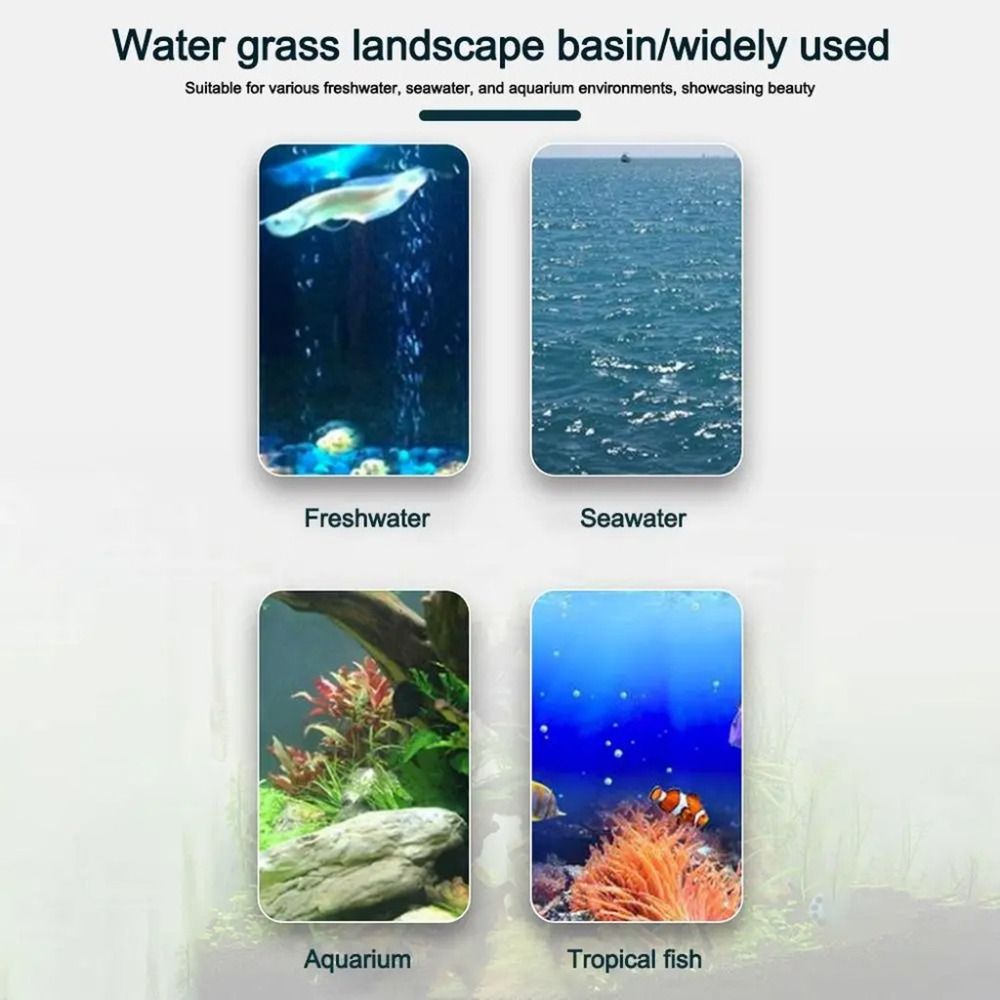 10 Pezzi Vasi Idroponici Trasp - Plant Aquarium Pot recensione e prezzo