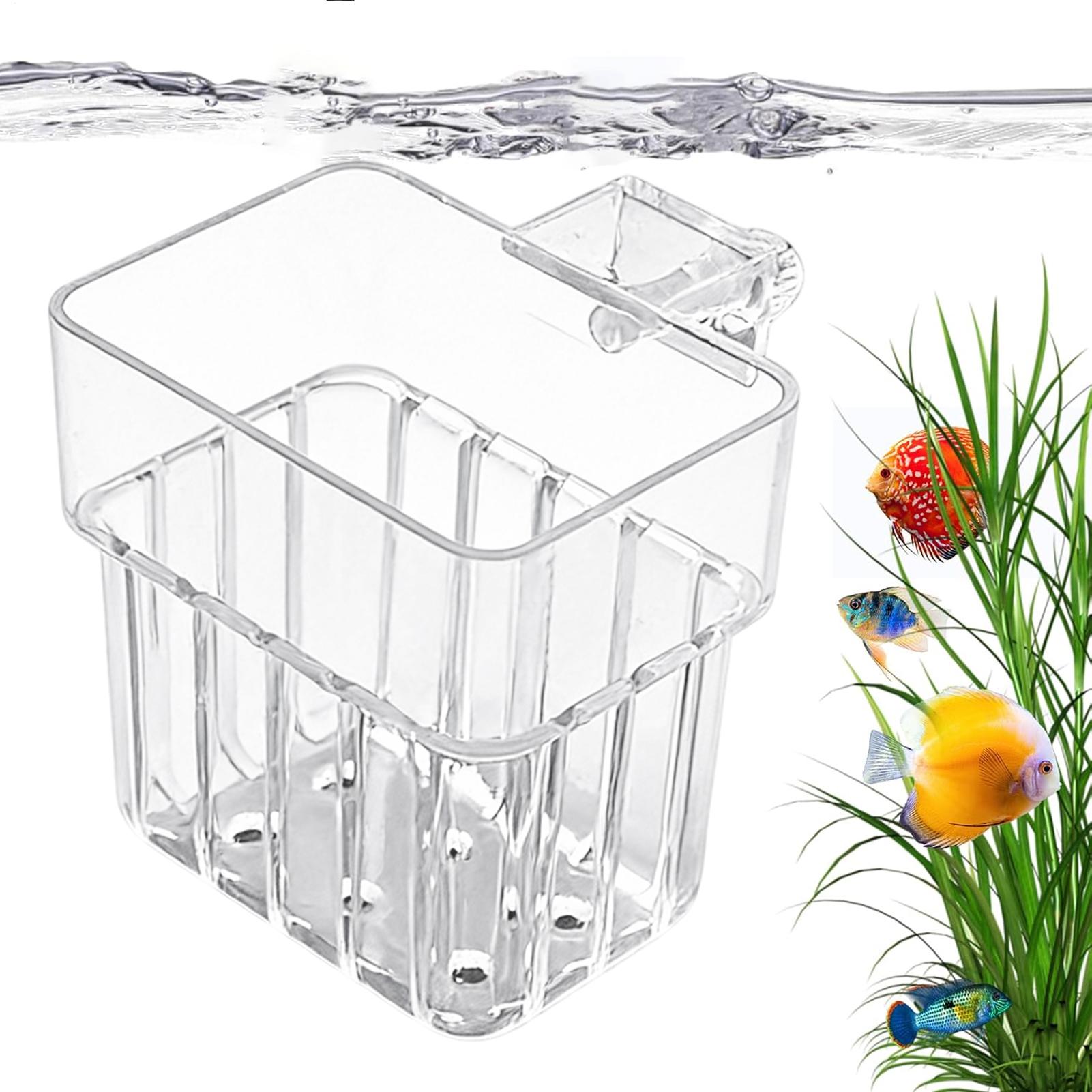 Vaso Trasparente Appendibile p - Plant Aquarium Pot recensione e prezzo