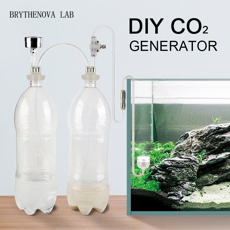 Generatore di CO2 per Acquario - Aquarium Moss recensione e prezzo