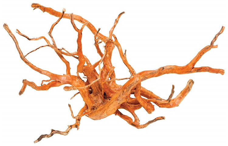 Legno Naturale Lucidato per Ac - Aquarium Driftwood recensione e prezzo