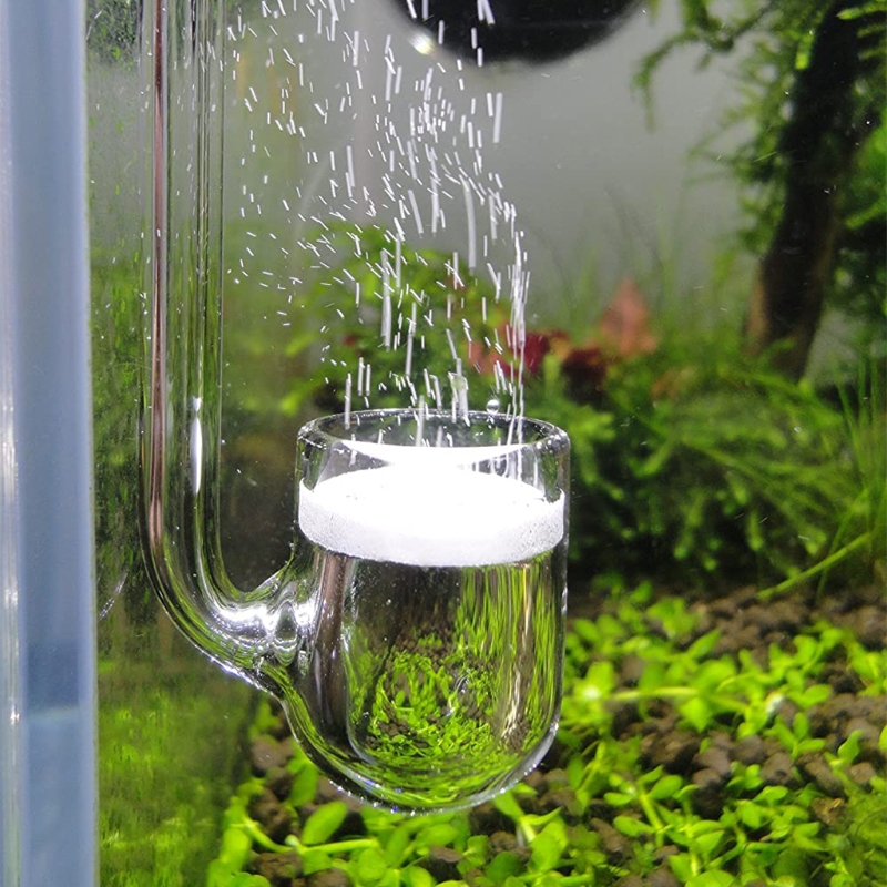 D0AD Diffusore CO2 in vetro pe - Aquarium Liquid Carbon recensione e prezzo