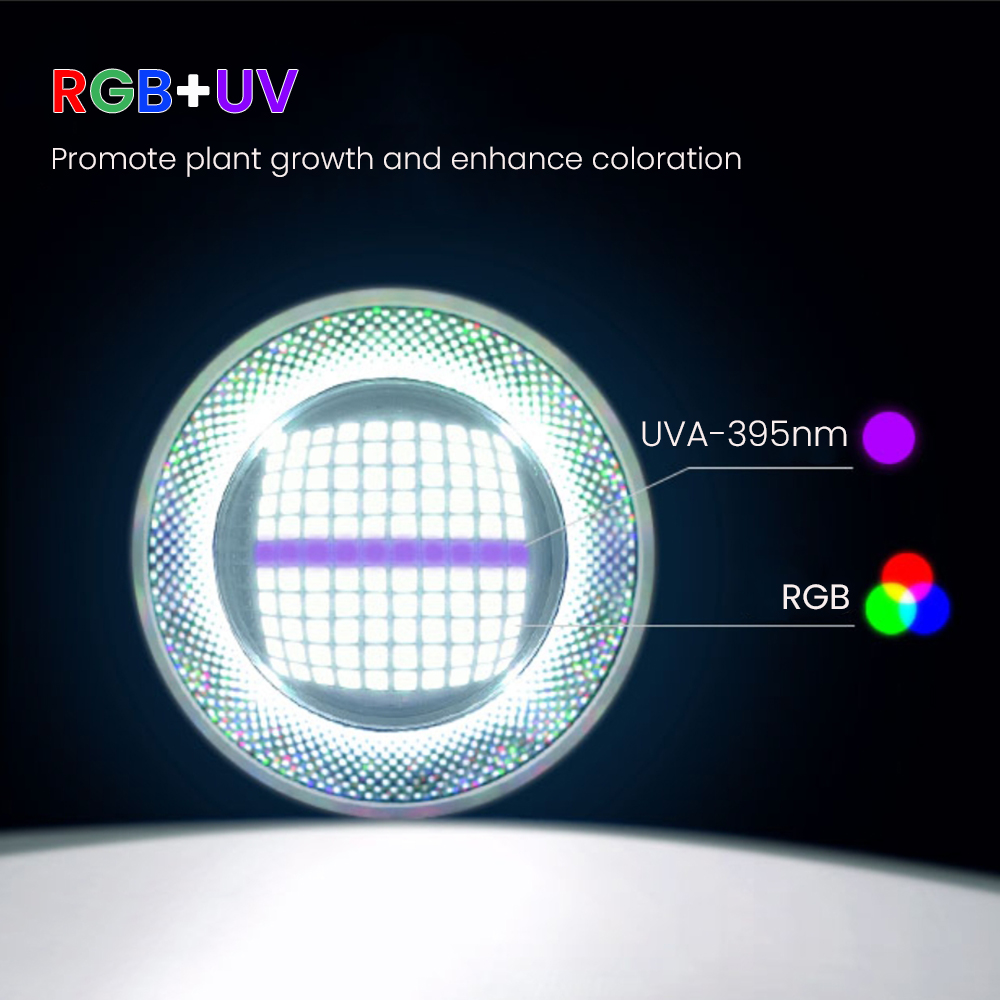 Luce LED per acquario piantato - Aquarium Plant Light recensione e prezzo