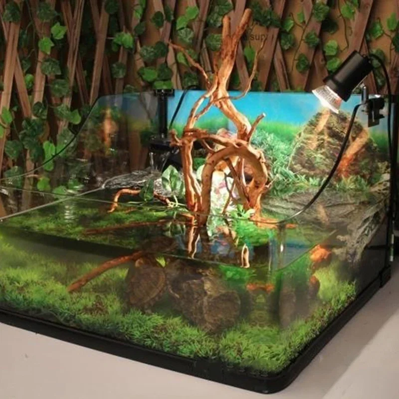 Tronco d'albero naturale Drift - Live Plant Aquarium recensione e prezzo