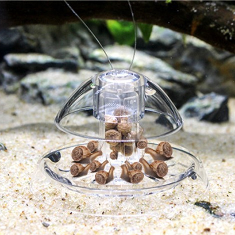 1PCS Fish Tank Aquarium Cleane - Planted Aquarium Cleaning recensione e prezzo