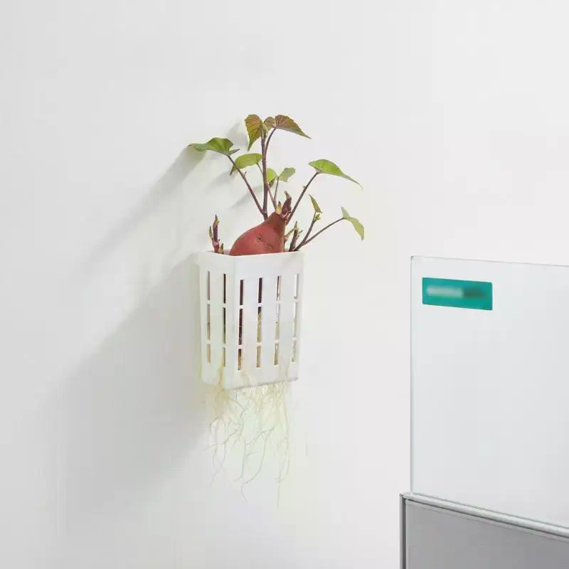1 Pezzo Cestino di Supporto Id - Planted Tank recensione e prezzo