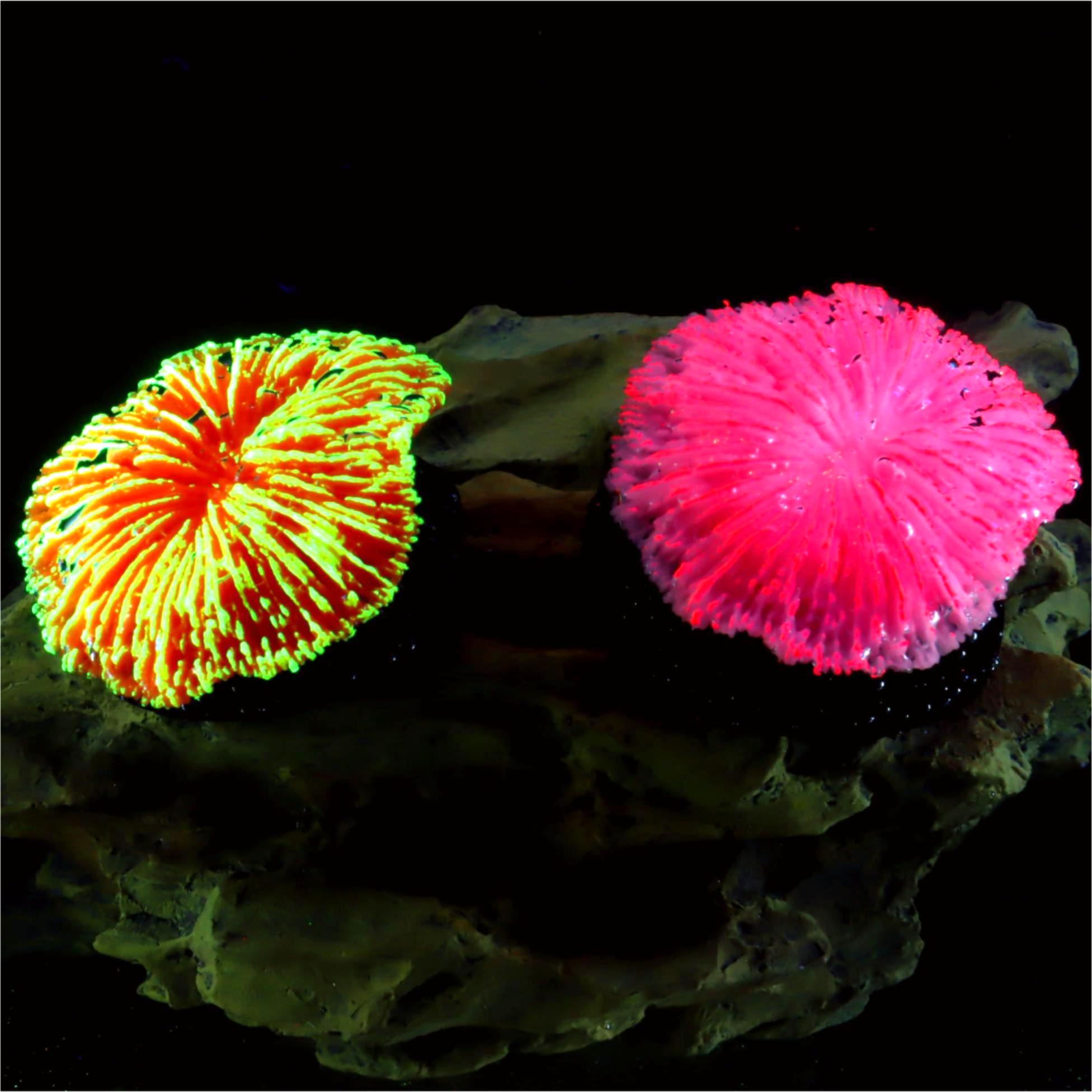 1 Pezzo Decorazione per Acquar - Live Plant Aquarium recensione e prezzo
