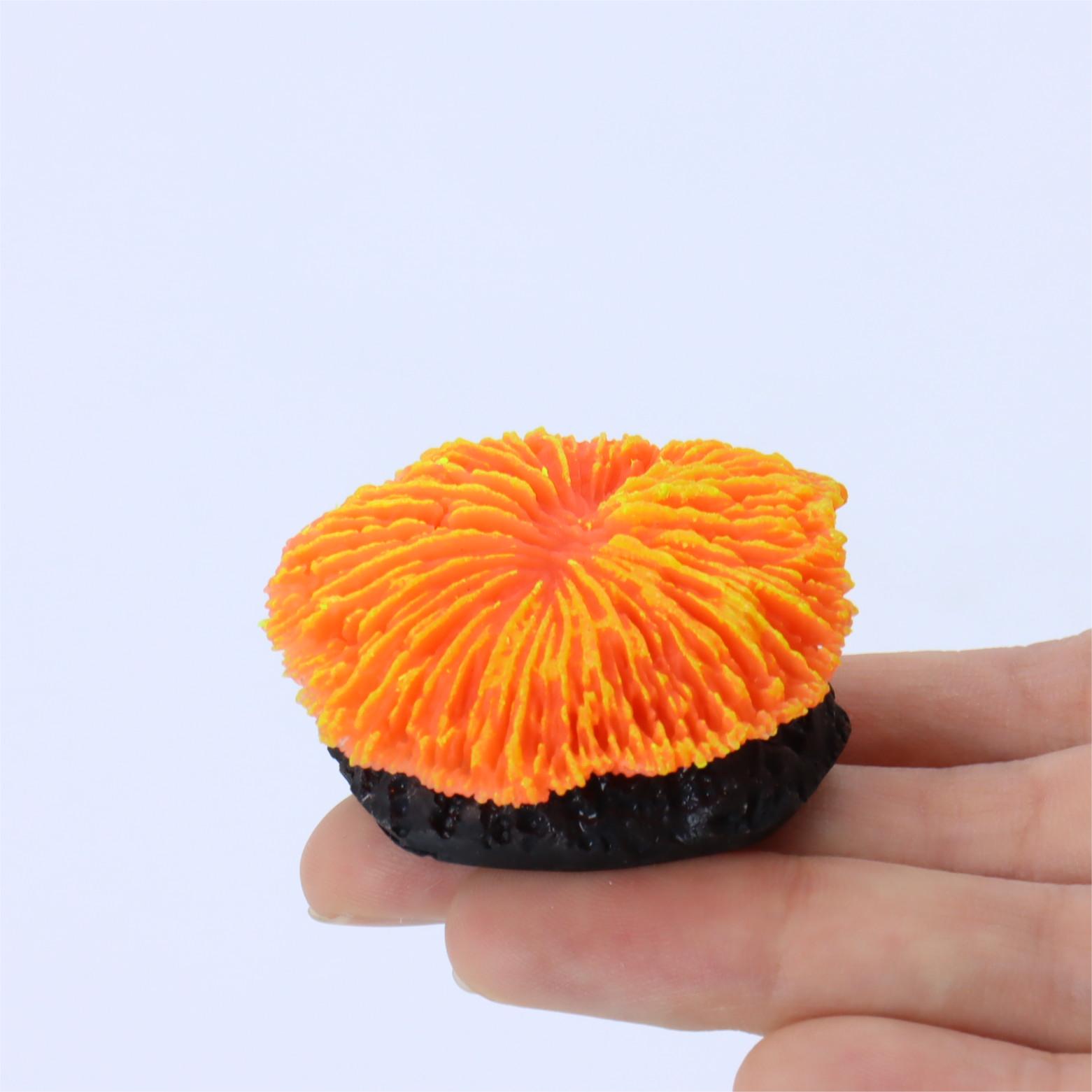 1 Pezzo Decorazione per Acquar - Live Plant Aquarium recensione e prezzo