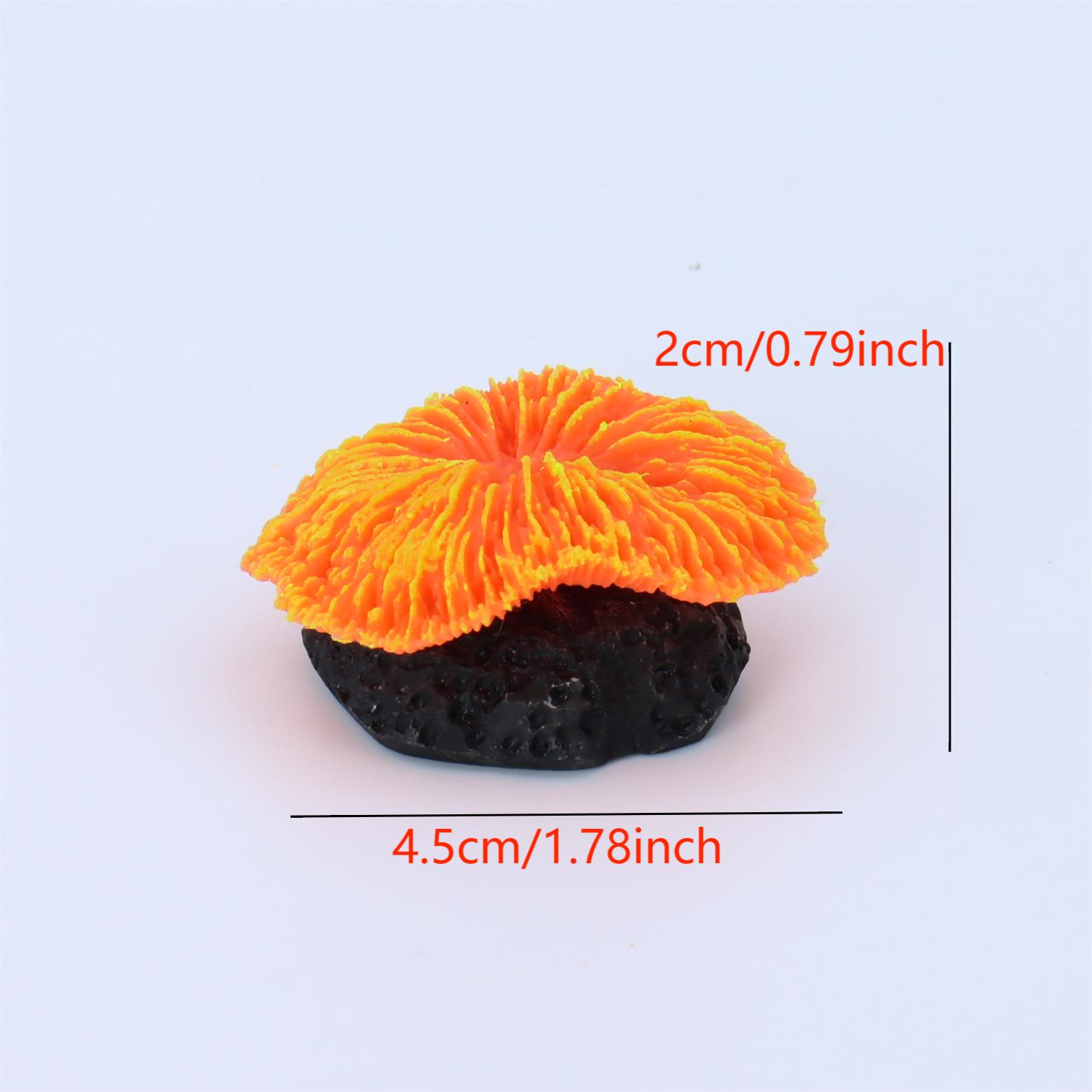 1 Pezzo Decorazione per Acquar - Live Plant Aquarium recensione e prezzo
