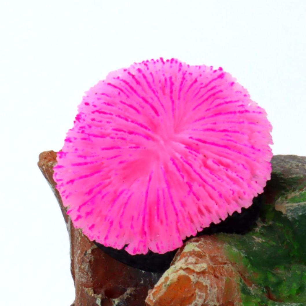 1 Pezzo Decorazione per Acquar - Live Plant Aquarium recensione e prezzo