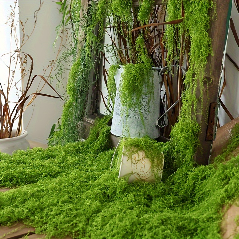 1 confezione di muschio finto  - Aquarium Moss recensione e prezzo