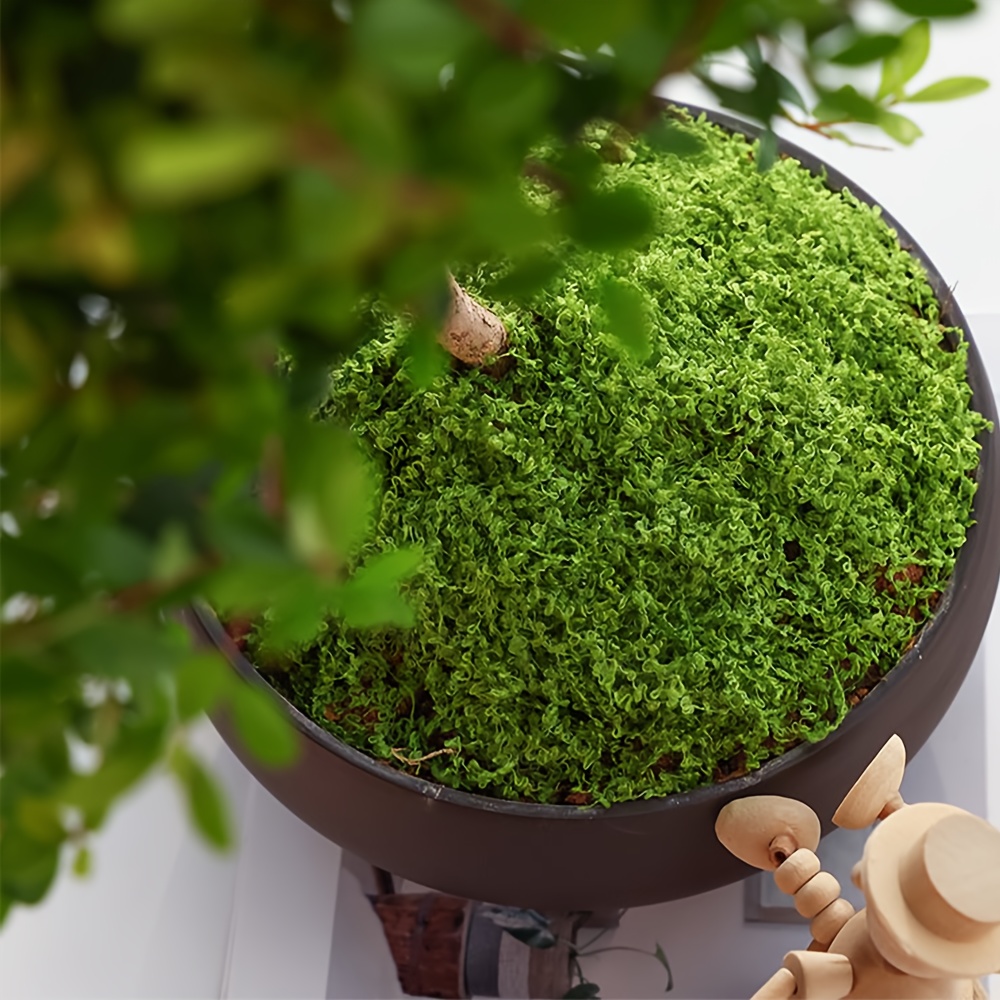 1 confezione di muschio finto  - Aquarium Moss recensione e prezzo
