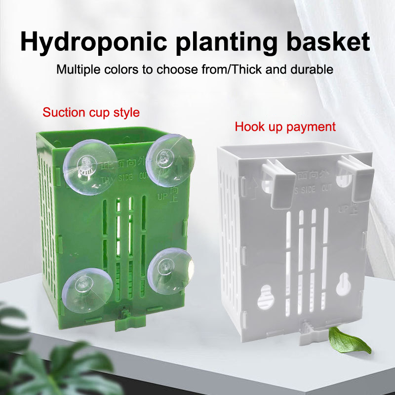 Gancio a ventosa sospeso Porta - Plant Aquarium Pot recensione e prezzo