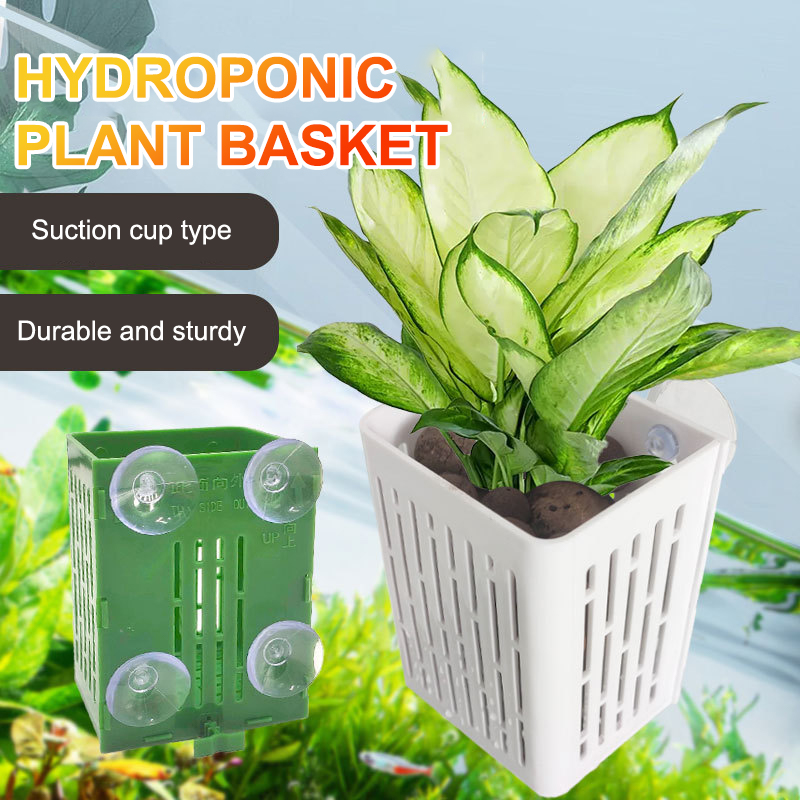 Gancio a ventosa sospeso Porta - Plant Aquarium Pot recensione e prezzo