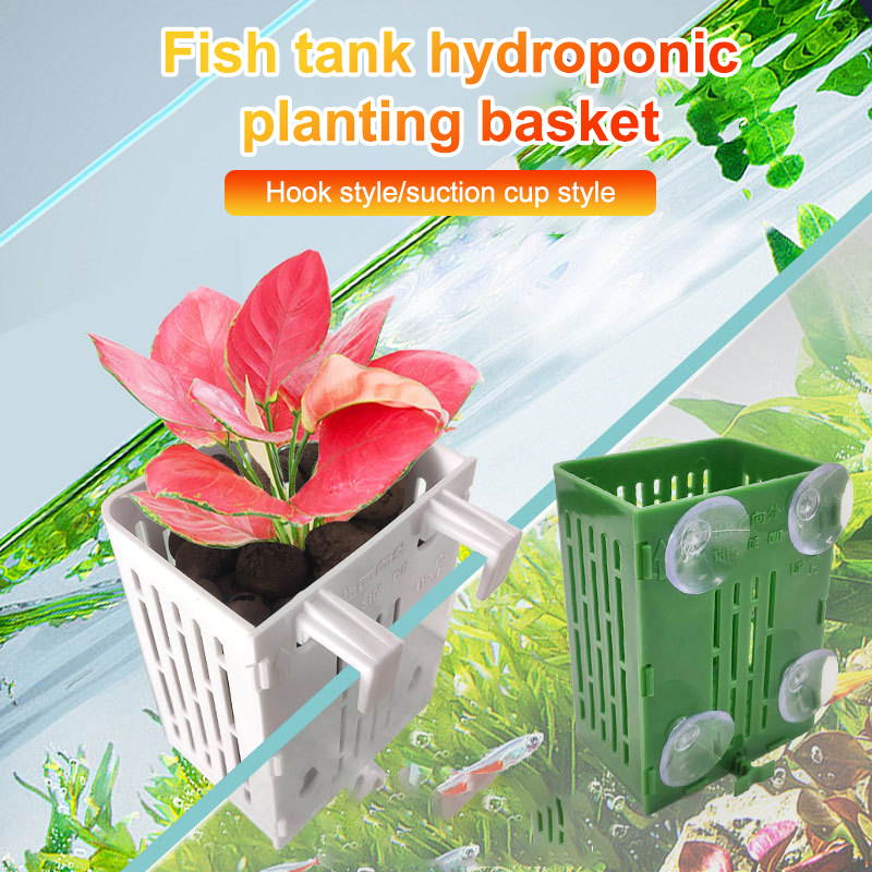 Gancio a ventosa sospeso Porta - Plant Aquarium Pot recensione e prezzo