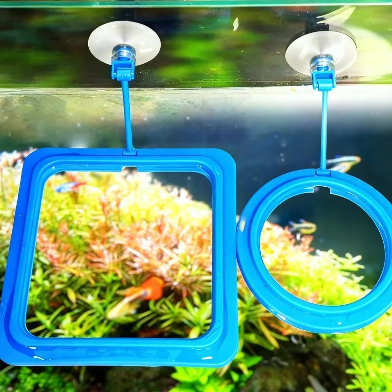 Anello per l'alimentazione del - Aquarium Fertilizer recensione e prezzo