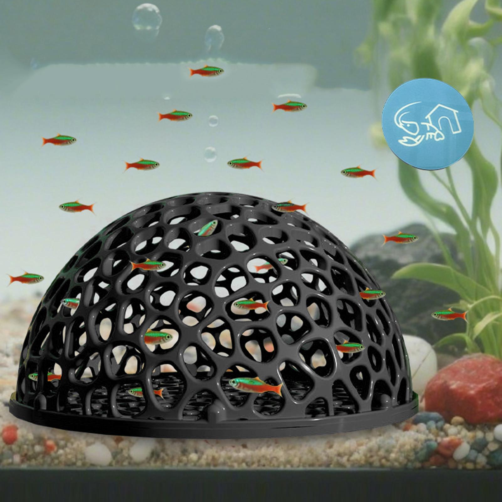 Rifugio per caverne per acquar - Aquarium Plants Live recensione e prezzo