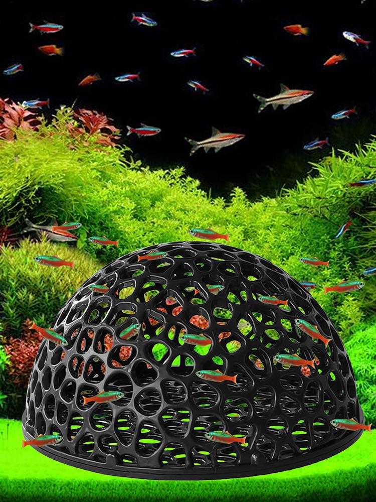 Rifugio per caverne per acquar - Aquarium Plants Live recensione e prezzo