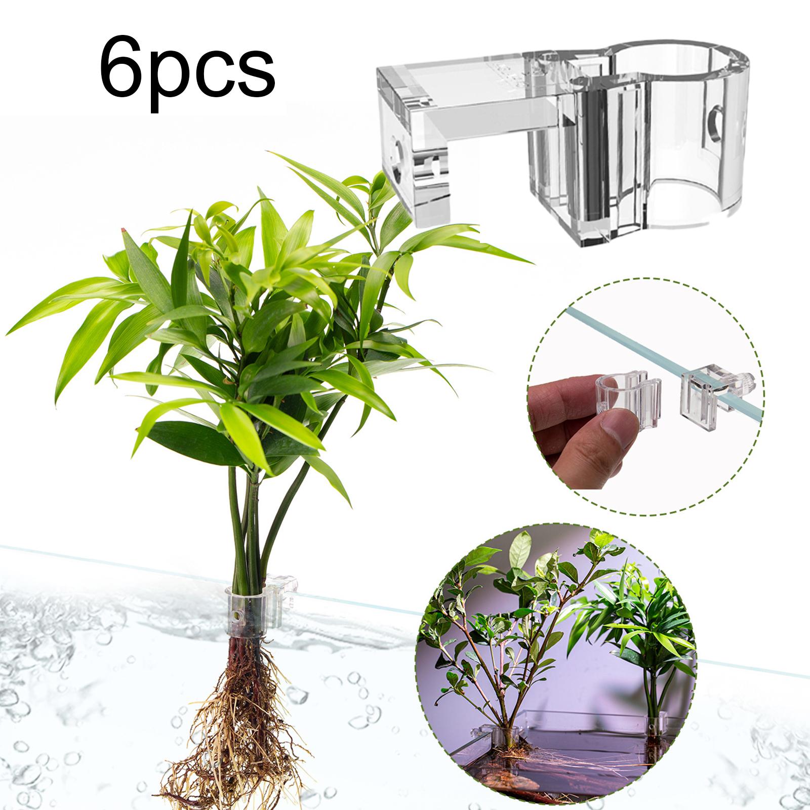 6 Pezzi Supporti per Piante da - Aquarium Fertilizer recensione e prezzo