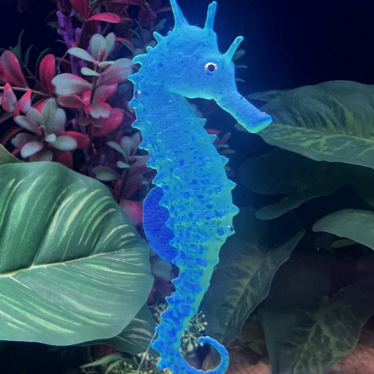 Decorazione per Acquario a For - Aquarium Plant Substrate recensione e prezzo