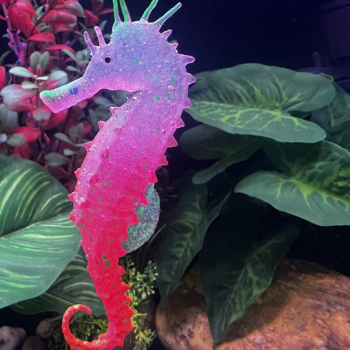 Decorazione per Acquario a For - Aquarium Plant Substrate recensione e prezzo
