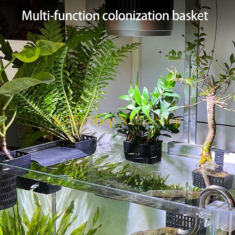 X22D Contenitore da parete in  - Plant Aquarium Pot recensione e prezzo