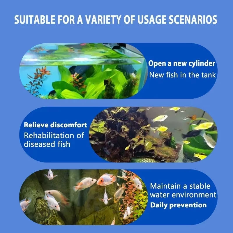 SIKEZHAN Trattamento malattie  - Aquarium Liquid Carbon recensione e prezzo