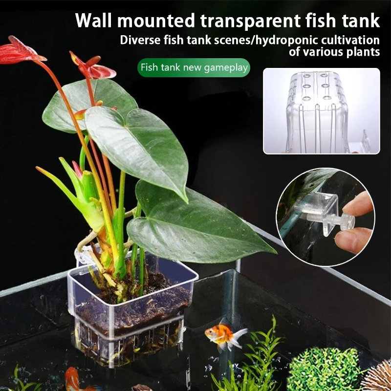 Vasi pensili per acquario, sup - Plant Aquarium Pot recensione e prezzo