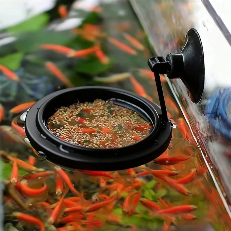 1/3 pezzi Anello per l'aliment - Aquarium Fertilizer recensione e prezzo