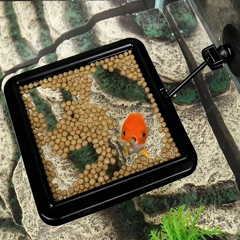 1/3 pezzi Anello per l'aliment - Aquarium Fertilizer recensione e prezzo