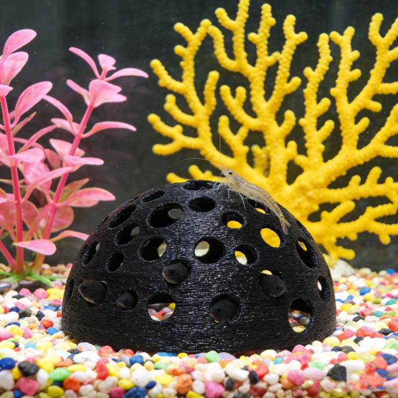 Caverna Nascosta per Acquario, - Aquarium Plants Live recensione e prezzo