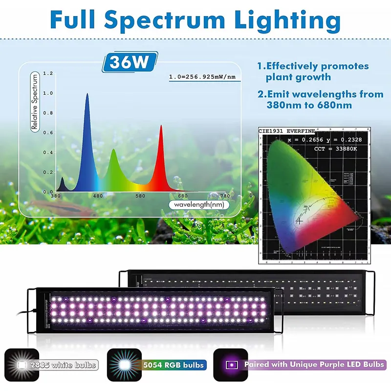 SIROKA Luce LED Intelligente p - Live Plant Aquarium recensione e prezzo