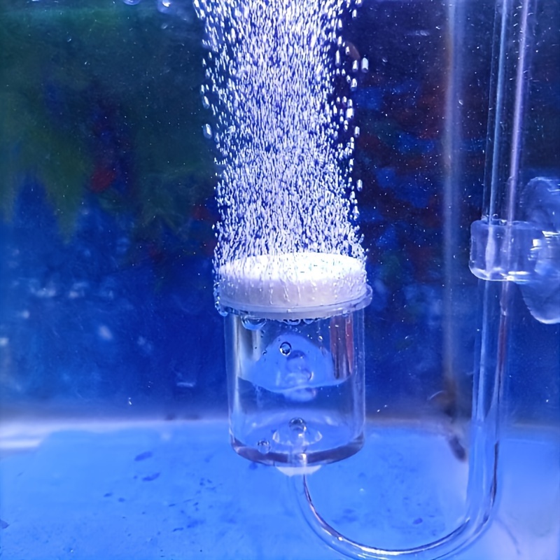 Acquario Vetro CO2 Atomizzator - Aquarium Liquid Carbon recensione e prezzo