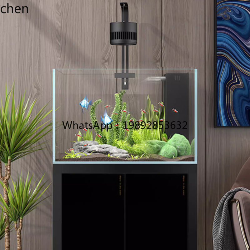 Acquario domestico YGG per sog - Live Plant Aquarium recensione e prezzo